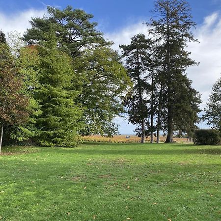 Manoir De Villamont Savigny les Beaune Bagian luar foto